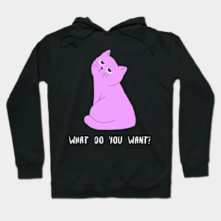 What Do You Want Cat Hoodie